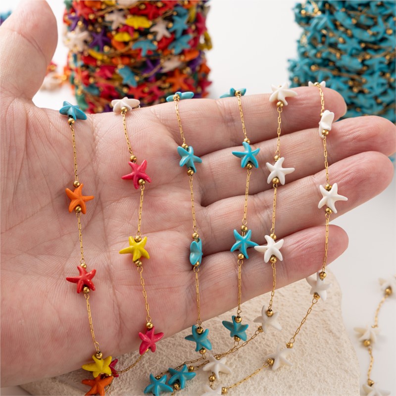 1 Meter Edelstahl Seestern Tür – Pearl Trim Chain Bewertung und Preis